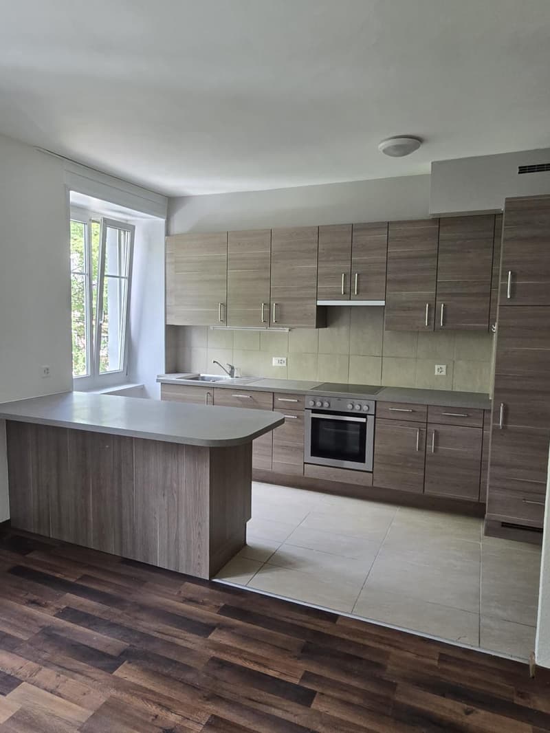 Immeuble Mixte de Rendement à Chaux de Fonds(NE) (4)