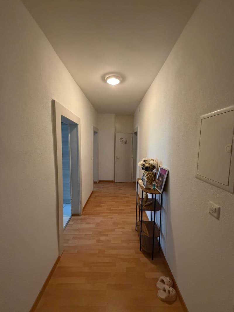 Lot d'un Immeuble de rendement avec deux parcelles de terrain constructibles au Locle(NE) (9)