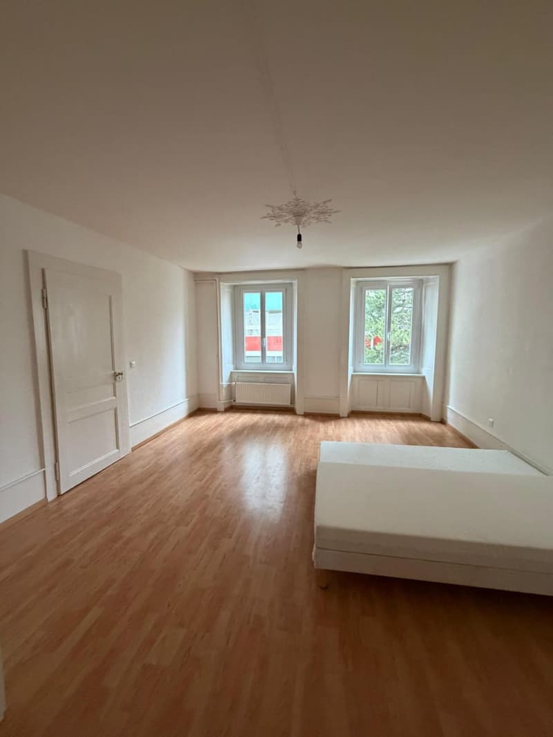 Lot d'un Immeuble de rendement avec deux parcelles de terrain constructibles au Locle(NE) (6)