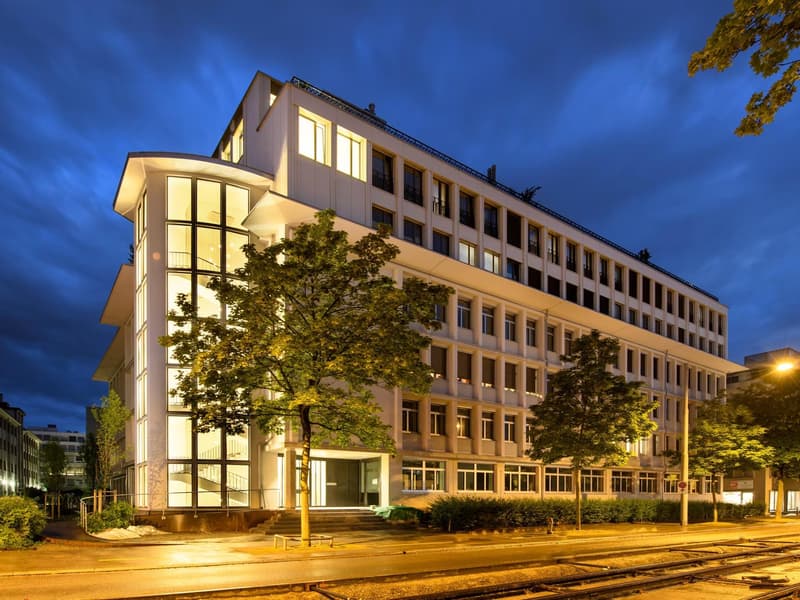 Design loft of 2.5 rooms | 104 m² | Quiet on interior courtyard | Zürich-Altstetten (9)