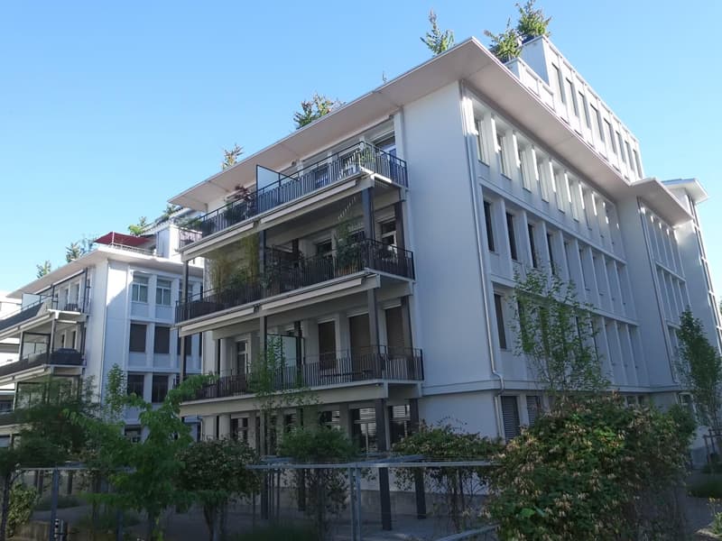 Design loft of 2.5 rooms | 104 m² | Quiet on interior courtyard | Zürich-Altstetten (8)