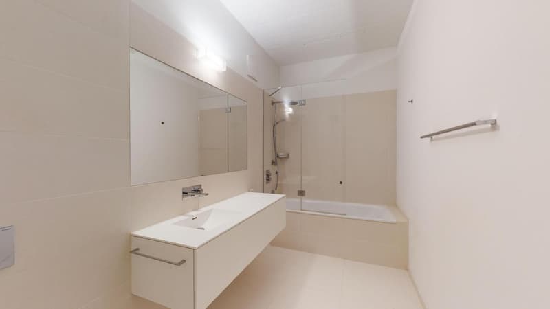 Design loft of 2.5 rooms | 104 m² | Quiet on interior courtyard | Zürich-Altstetten (7)