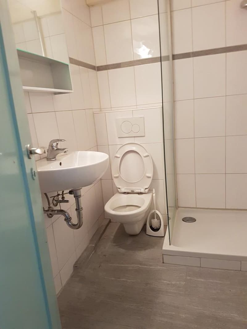 Immeuble de rendement ? 8 appartements entièrement loués ? Saint-Imier(BE) (8)