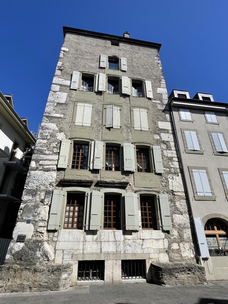 Studio meublé à louer ? Genève, Rue de Rive 53 vue lac au 4e étage (7)