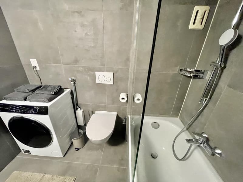 Studio meublé à louer ? Genève, Rue de Rive 53 vue lac au 4e étage (6)