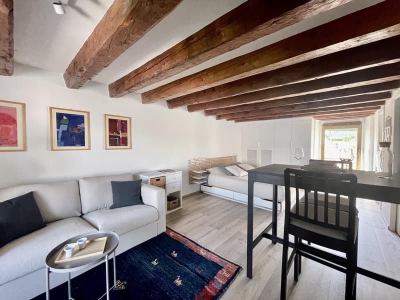 Studio meublé à louer ? Genève, Rue de Rive 53 vue lac au 4e étage (3)