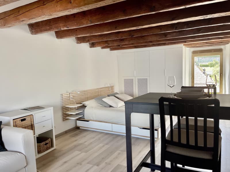 Studio meublé à louer ? Genève, Rue de Rive 53 vue lac au 4e étage (1)