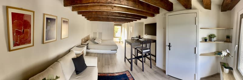 Studio meublé à louer ? Genève, Rue de Rive 53 vue lac au 4e étage (10)