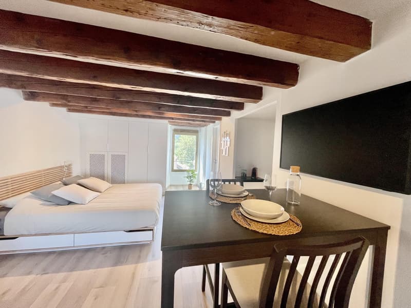 Studio meublé à louer ? Genève, Rue de Rive 53 vue lac au 4e étage (8)