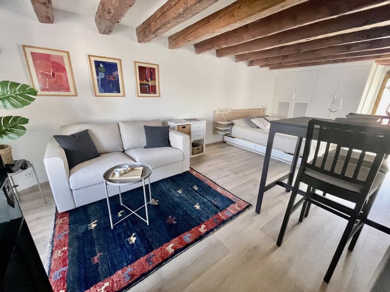 Studio meublé à louer ? Genève, Rue de Rive 53 vue lac au 4e étage (5)