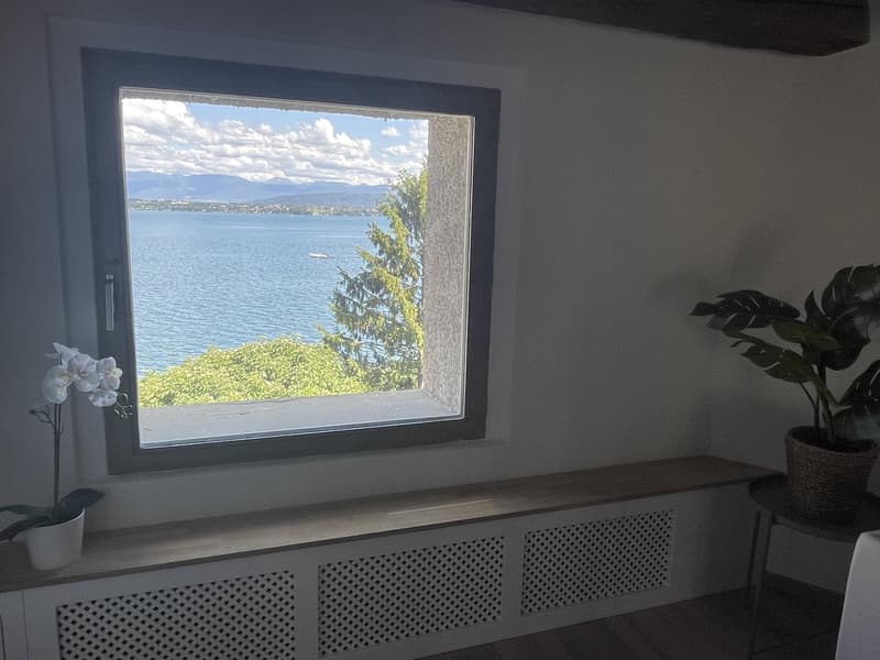 Studio meublé à louer ? Genève, Rue de Rive 53 vue lac au 4e étage (9)