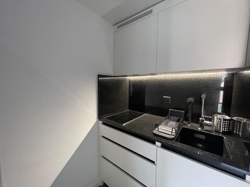 Studio meublé à louer ? Genève, Rue de Rive 53 vue lac au 4e étage (2)