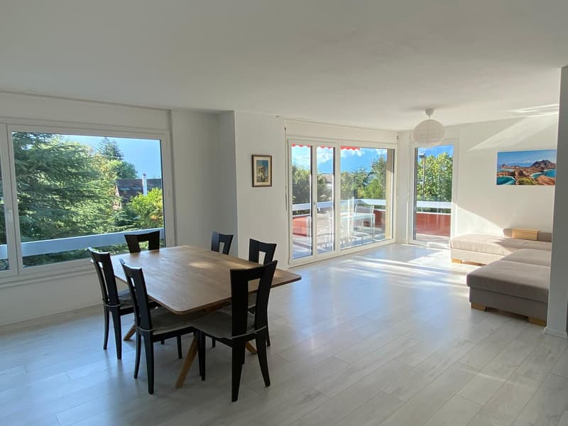 Magnifique 4 Pièces Rénové avec Vue Lac & Terrasse ! (2)