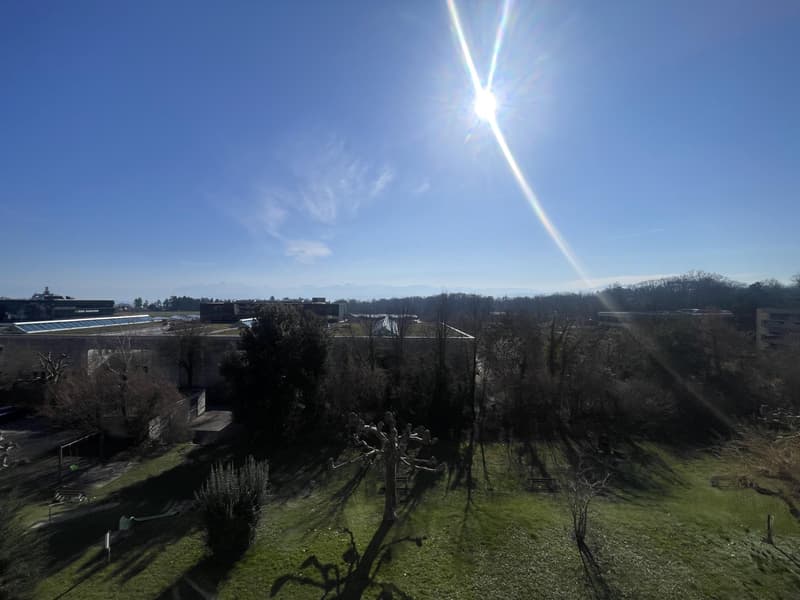 Magnifique appartement 3,5 pièces à vendre ? Gland VENDU avec locataire 078 403 10 20 (1)