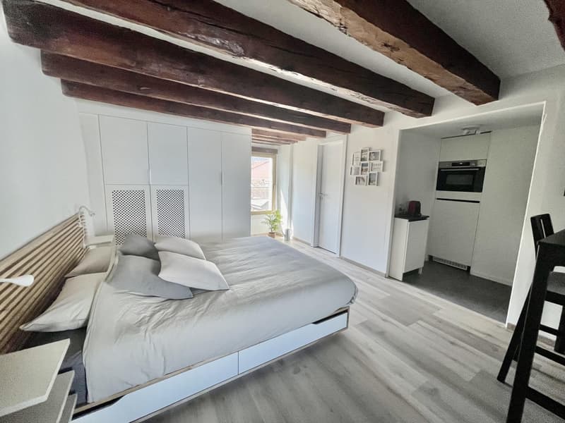 Studio meublé à louer ? Nyon, Rue de Rive 53 vue lac au 4e étage disponible le 2/11/2026 (2)
