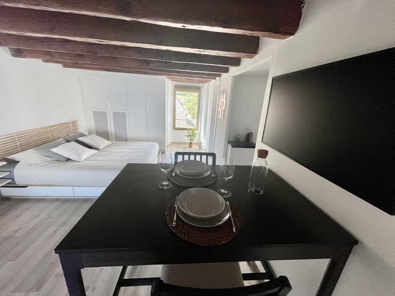 Studio meublé à louer ? Nyon, Rue de Rive 53 vue lac au 4e étage disponible le 2/11/2026 (13)