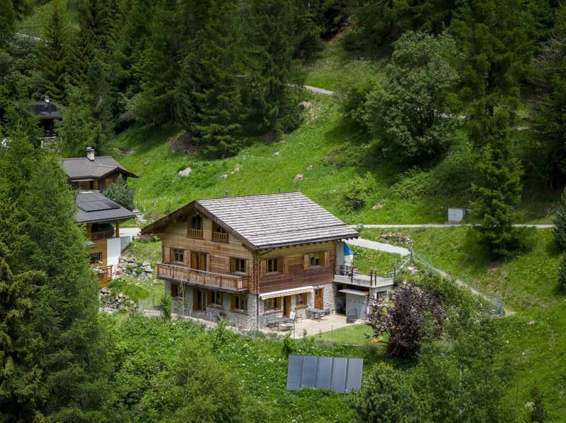Chalet Bishop ? A Sunny Haven Facing the Summits (1)