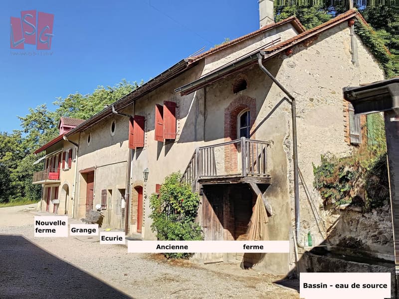 Luins, Vineyard Estate with Forest, Breathtaking Lake View (6)