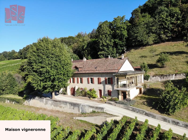 Luins, Vineyard Estate with Forest, Breathtaking Lake View (8)