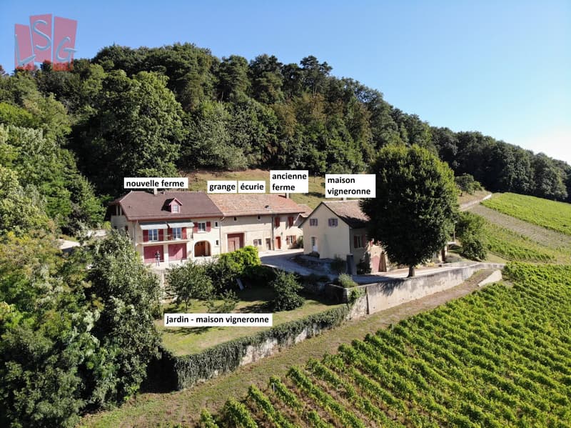 Luins, Vineyard Estate with Forest, Breathtaking Lake View (2)