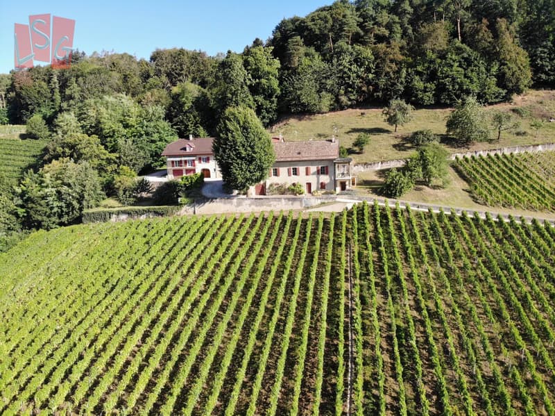 Luins, Vineyard Estate with Forest, Breathtaking Lake View (1)