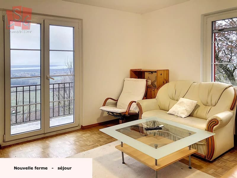 Luins, Vineyard Estate with Forest, Breathtaking Lake View (5)