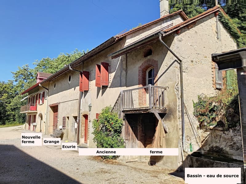Luins, tenuta vitivinicola con foresta, vista mozzafiato sul lago (7)