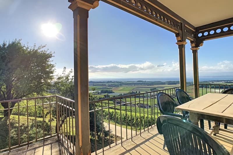 Luins, tenuta vitivinicola con foresta, vista mozzafiato sul lago (1)