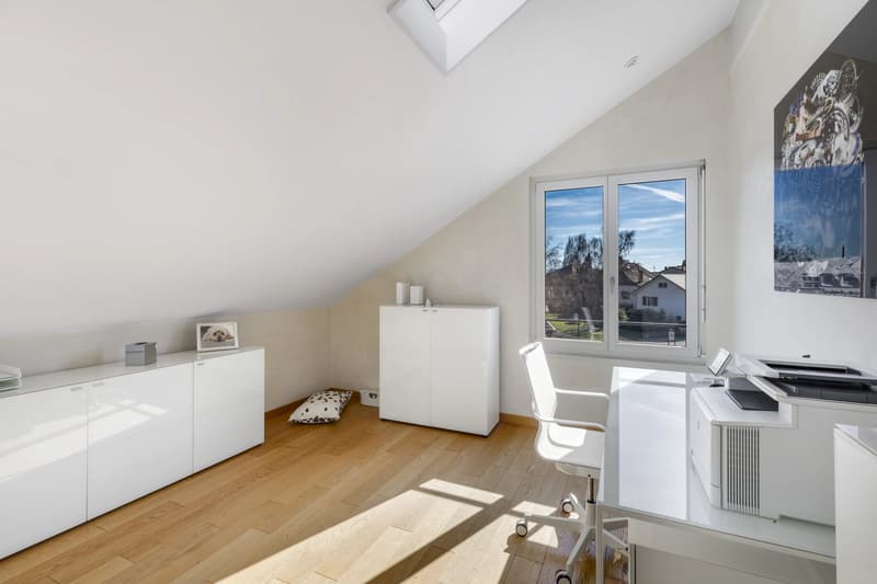 Magnificent apartment close to Nyon (7)