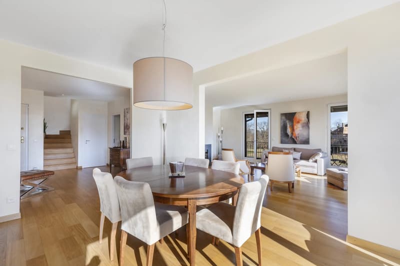 Magnificent apartment close to Nyon (2)