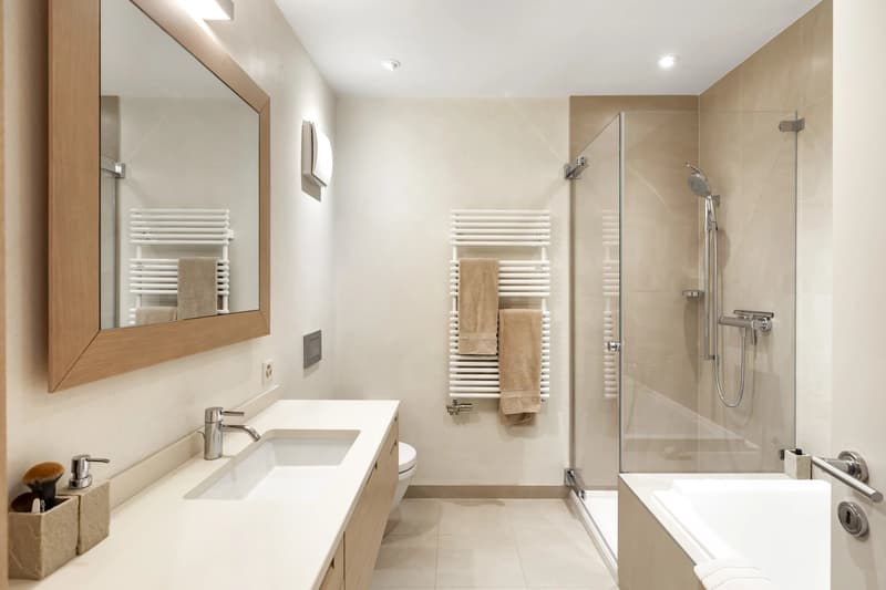 Magnificent apartment close to Nyon (9)