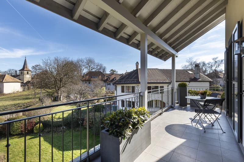 Magnificent apartment close to Nyon (1)