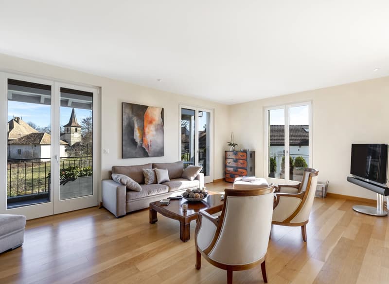 Magnificent apartment close to Nyon (3)