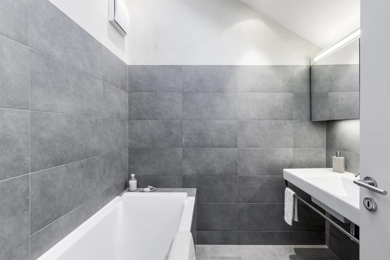 Magnificent apartment close to Nyon (10)