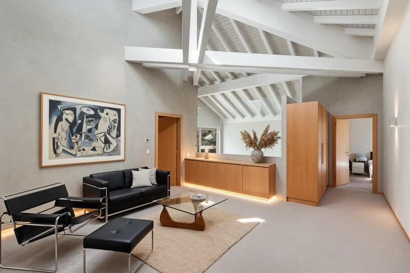 Light, space and serenity ? A private haven in Coppet (9)
