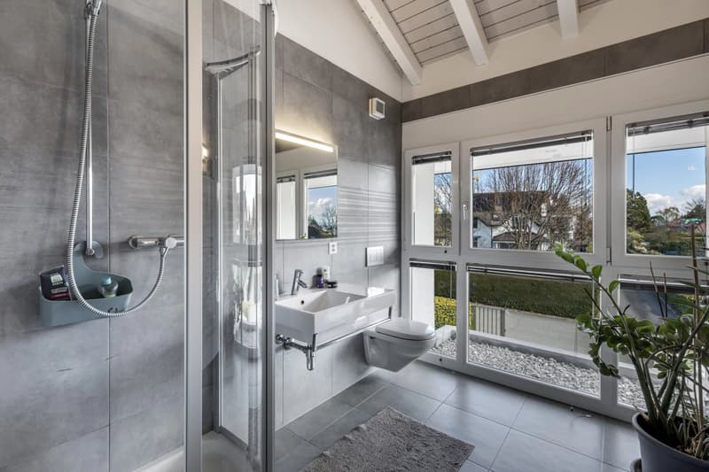 Light, space and serenity ? A private haven in Coppet (10)