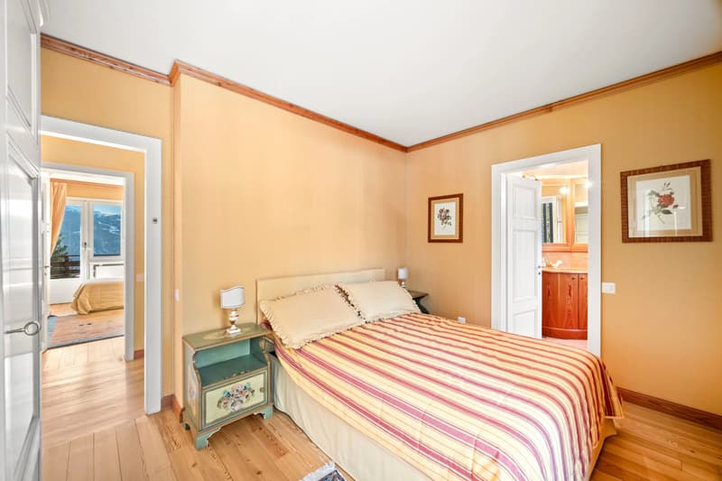 Bright apartment facing the Alpine panoramas (9)
