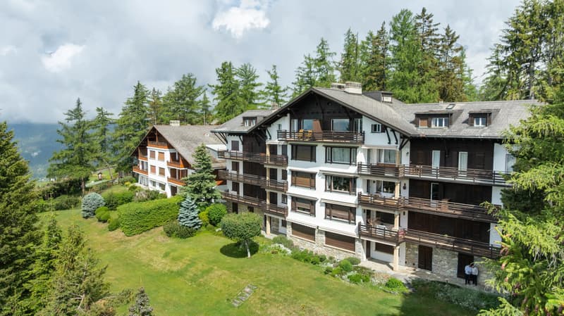 Bright apartment facing the Alpine panoramas (2)