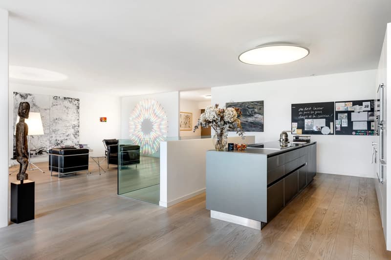 Large apartment with a view in Corsier (5)