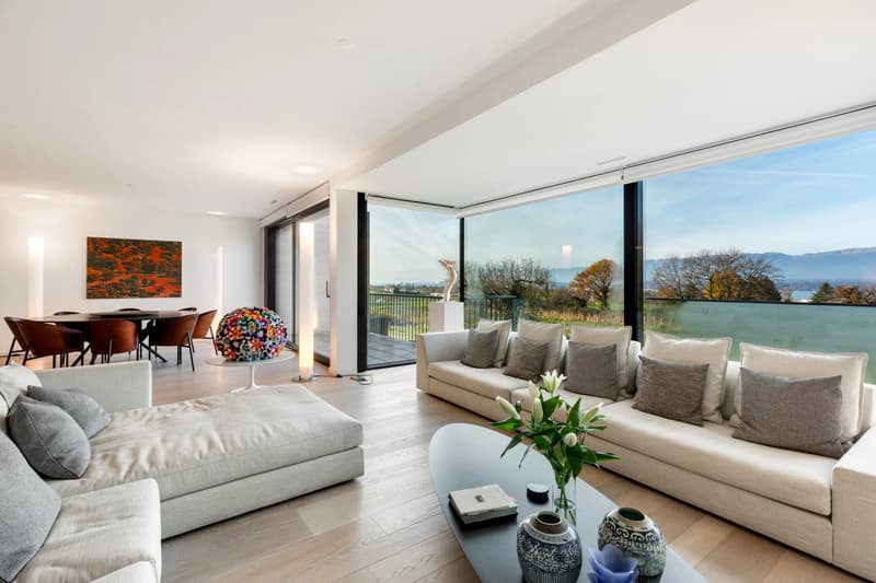 Large apartment with a view in Corsier (2)