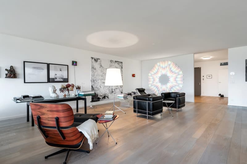 Large apartment with a view in Corsier (3)