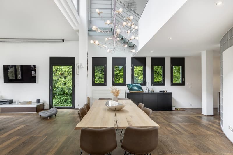 Apartment of 338 m2 with 4 bedrooms, Troinex (5)