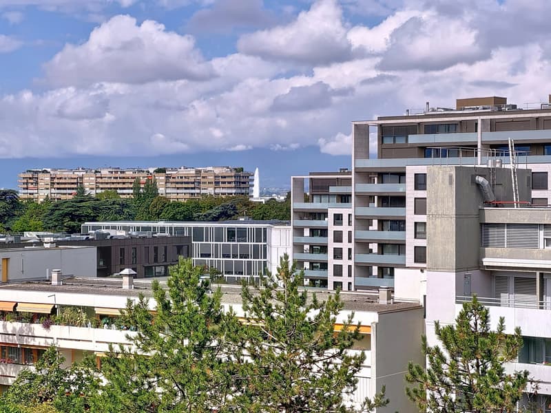 Splendid 4-room apartment with a view of the Jet d'Eau (8)