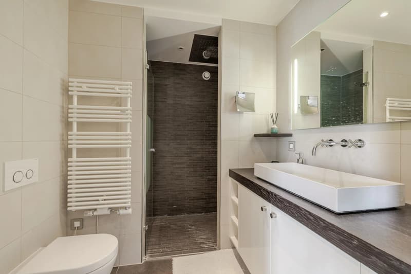 Exclusivity - Superb contemporary attic in the heart of Saint-Jean (6)