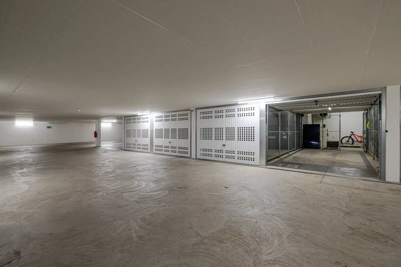 Exclusivity - Superb contemporary attic in the heart of Saint-Jean (10)
