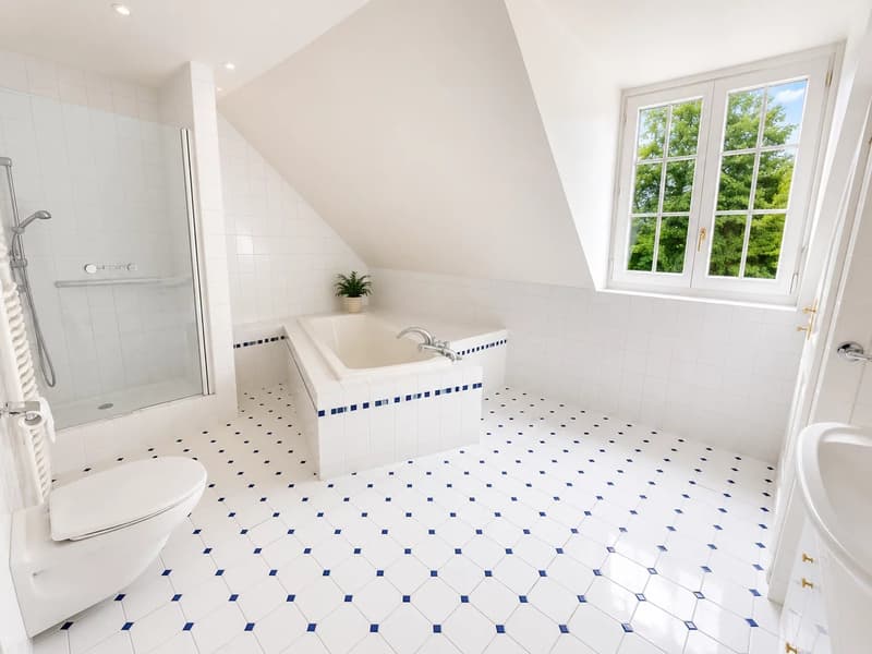 Charming villa in Lausanne (9)