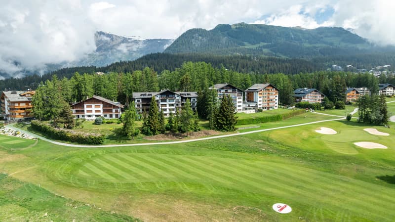 Bright apartment facing the Alpine panoramas (10)