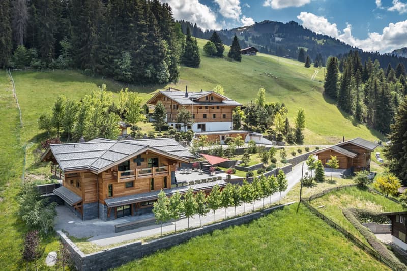 Exceptional Alpine Property (1)