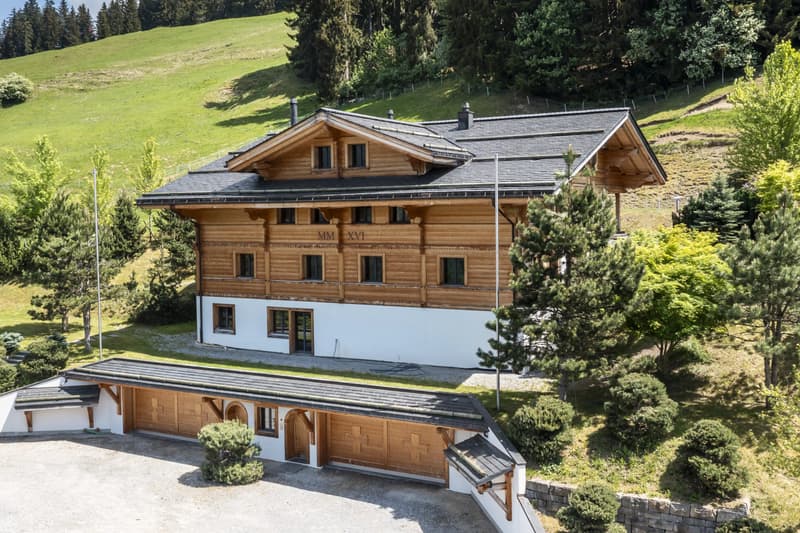 Exceptional Alpine Property (2)