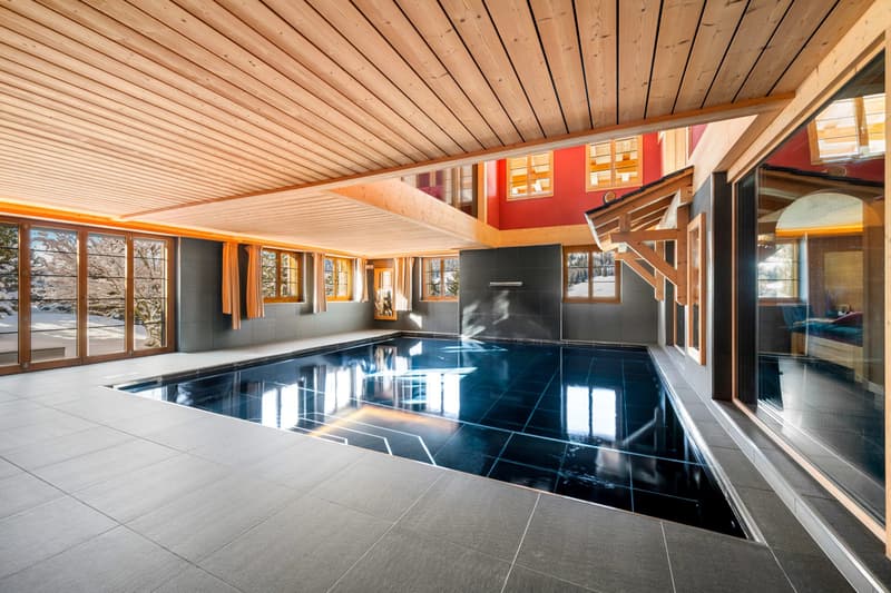 Exceptional Alpine Property (13)